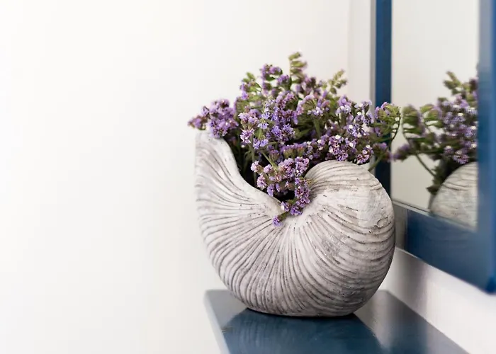 Meltemi Tinos 3* Agios Romanos